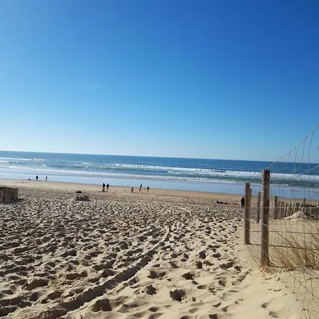 Maison Sur Le Bassin D'arcachon 4*