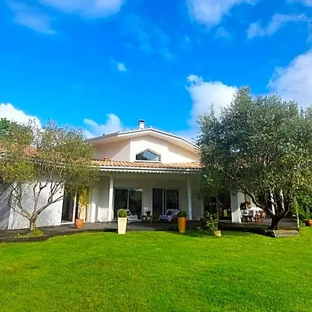 Bed & Breakfast Maison Sur Le Bassin D'arcachon